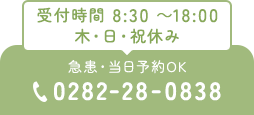 受付時間 8:30 ～18:00木・日・祝休み 急患・当日予約OK 0282-28-0838