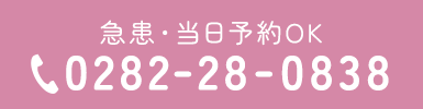 急患・当日予約OK 0282-28-0838