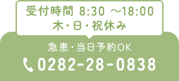 受付時間 8:30 ～18:00木・日・祝休み 急患・当日予約OK 0282-28-0838